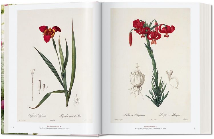 Produktbild: Redout&eacute;. The Book of Flowers