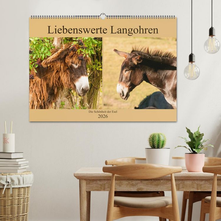 Produktbild: Liebenswerte Langohren - Die Sch&ouml;nheit der Esel (Wandkalender 2026 DIN A2 quer), CALVENDO Monatskalender