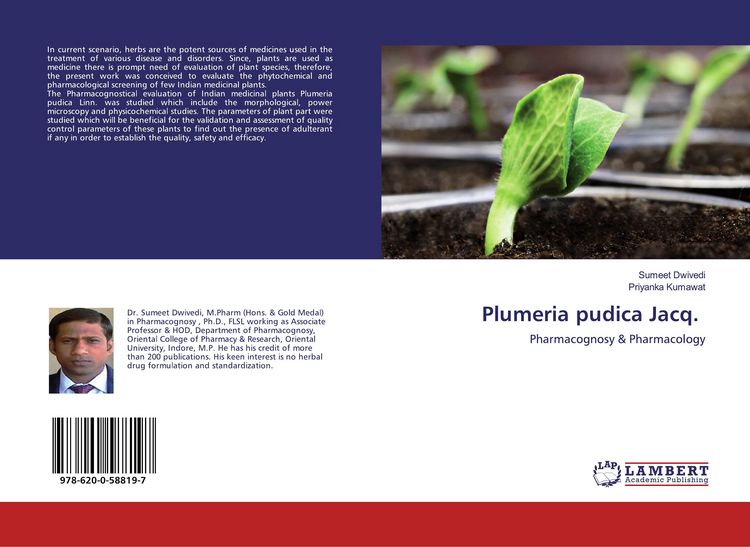 Produktbild: Plumeria pudica Jacq.