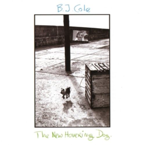 Produktbild: The New Hovering Dog