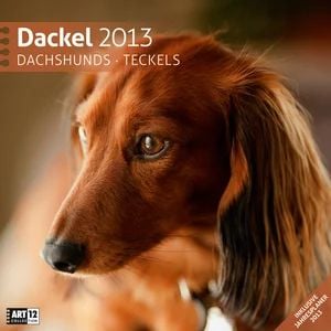 Produktbild: Dackel 2013
