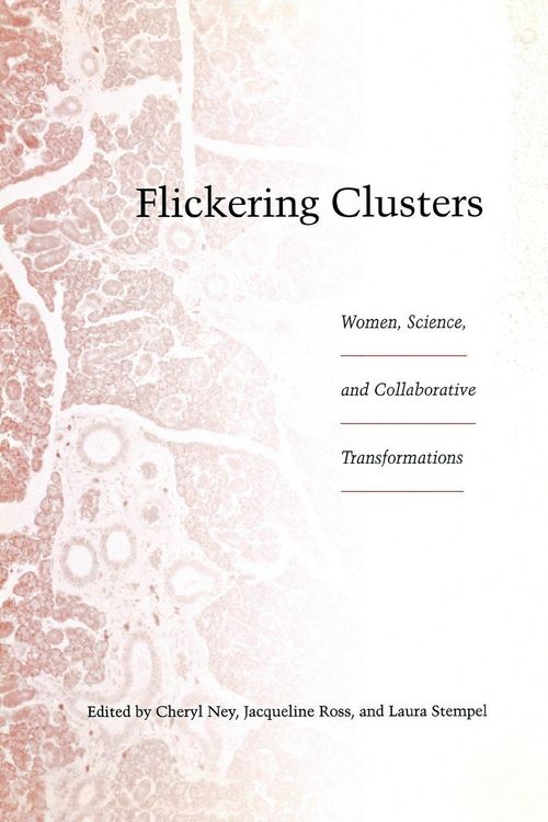 Produktbild: Flickering Clusters