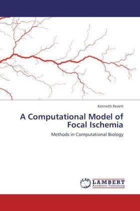 Produktbild: Revett, K: Computational Model of Focal Ischemia