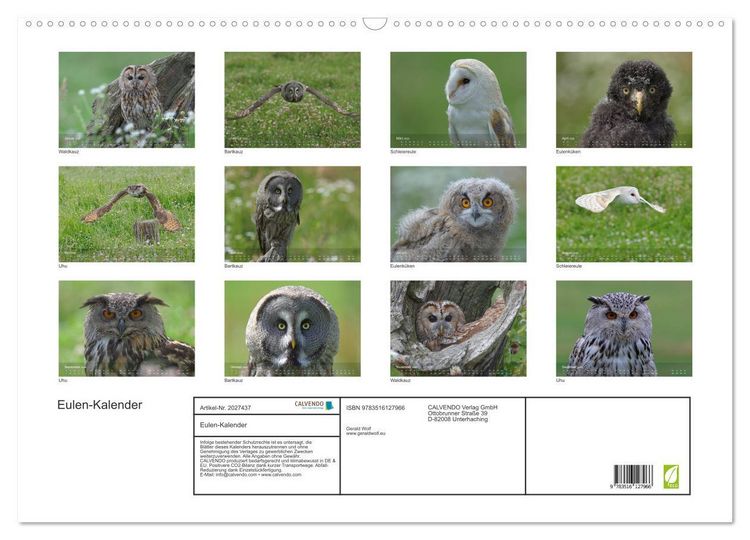 Produktbild: Eulen-Kalender (Wandkalender 2026 DIN A2 quer), CALVENDO Monatskalender