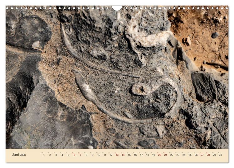 Produktbild: Musandam - Die omanische Exklave im geheimnisvollen Orient (Wandkalender 2026 DIN A3 quer), CALVENDO Monatskalender