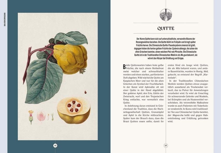 Produktbild: Der Garten des Apothekers