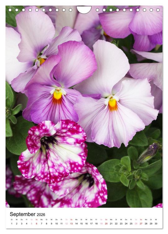 Produktbild: Ein Jahr voller Blumen (Wandkalender 2026 DIN A4 hoch), CALVENDO Monatskalender