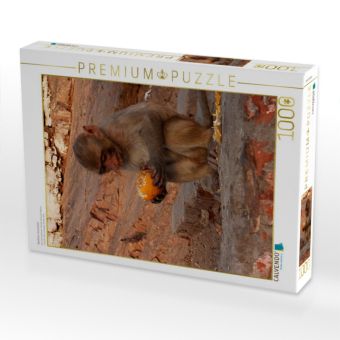 Produktbild: Niedliche Tierportr&auml;ts (Puzzle)