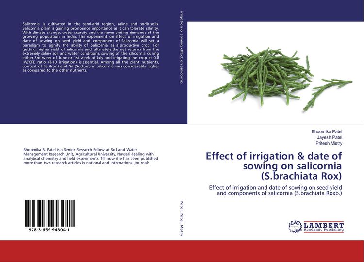 Produktbild: Effect of irrigation & date of sowing on salicornia (S.brachiata Rox)