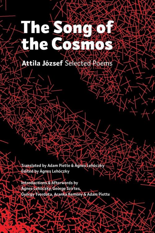 Produktbild: The Song of the Cosmos