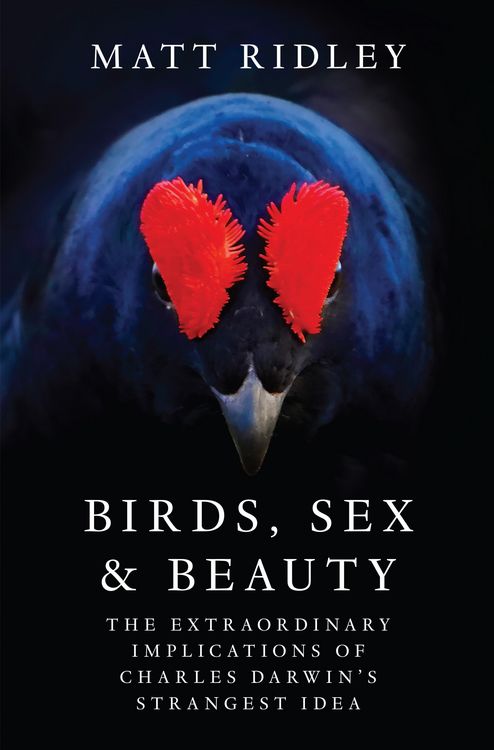 Produktbild: Birds, Sex and Beauty