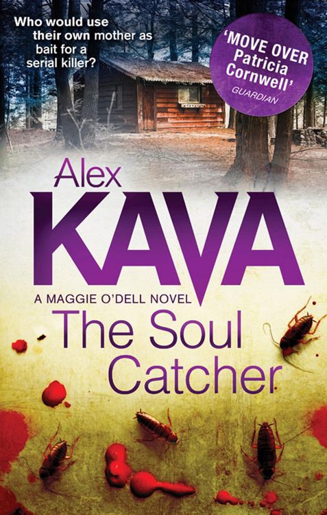 Produktbild: The Soul Catcher