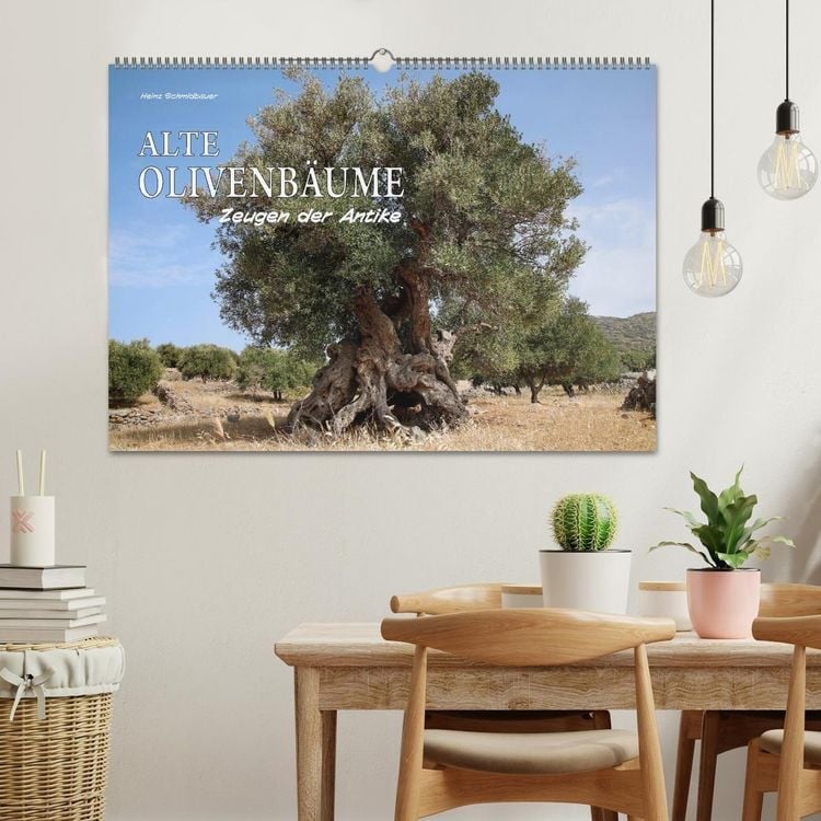 Produktbild: ALTE OLIVENB&Auml;UME Zeugen der Antike (Wandkalender 2027 DIN A2 quer), CALVENDO Monatskalender