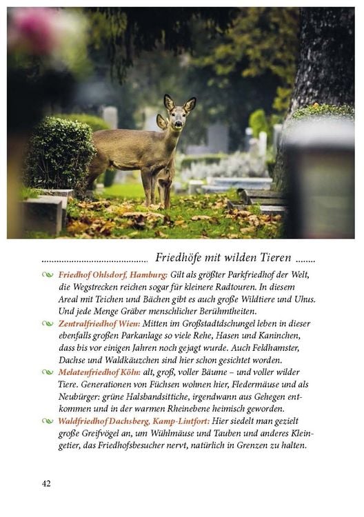 Produktbild: Der Friedhof lebt!