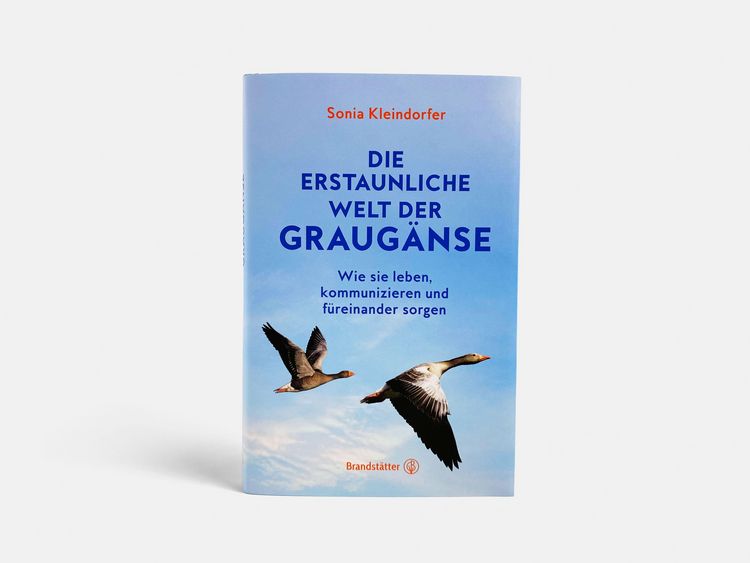 Produktbild: Die erstaunliche Welt der Graug&auml;nse