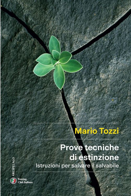 Produktbild: Prove tecniche di estinzione. Istruzioni per salvare il salvabile