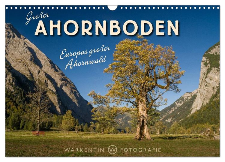 Produktbild: Gro&szlig;er Ahornboden - Europas gro&szlig;er Ahornwald (Wandkalender 2026 DIN A3 quer), CALVENDO Monatskalender