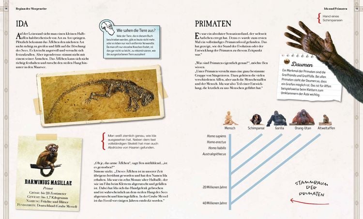Produktbild: Verborgene Welt der Megafauna