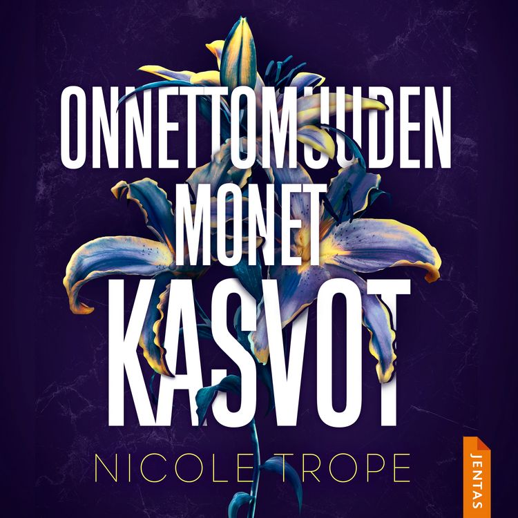 Produktbild: Onnettomuuden monet kasvot