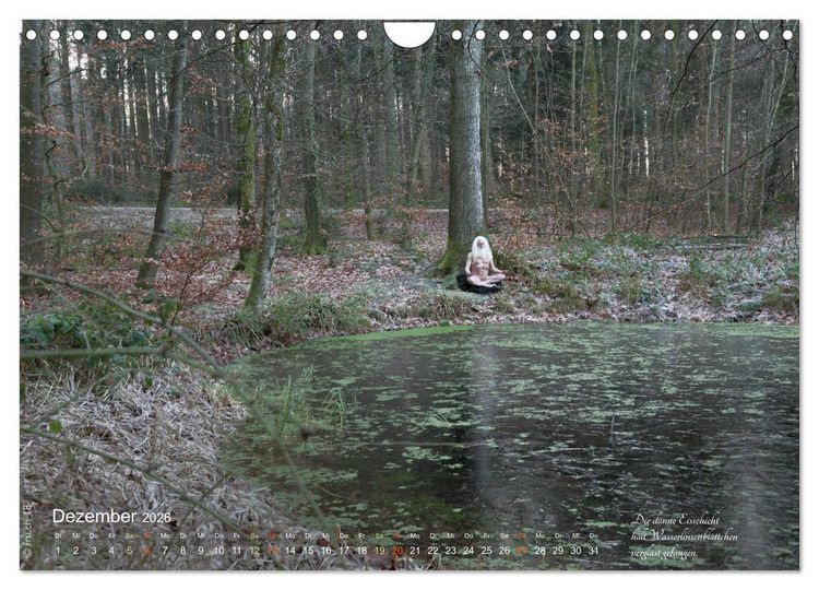 Produktbild: HAIKU AM TEICH (Wandkalender 2026 DIN A4 quer), CALVENDO Monatskalender