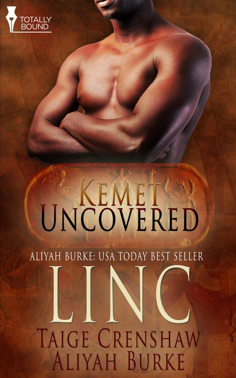 Produktbild: Linc