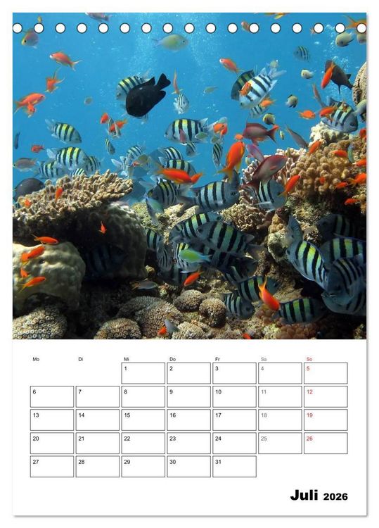 Produktbild: Zauberwelt. Fische, Korallen und Co. (Tischkalender 2026 DIN A5 hoch), CALVENDO Monatskalender
