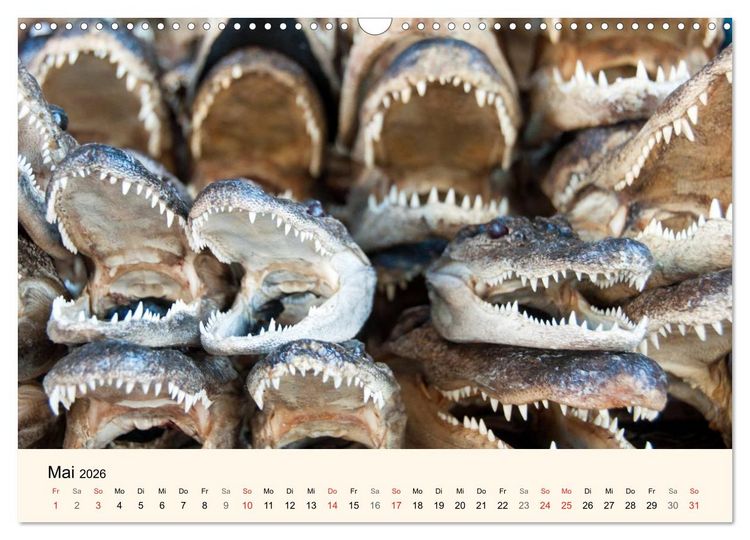 Produktbild: Sommer in New Orleans (Wandkalender 2026 DIN A3 quer), CALVENDO Monatskalender