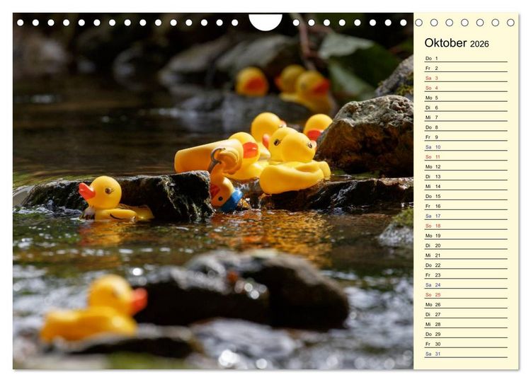 Produktbild: Enten-Rennen (Wandkalender 2026 DIN A4 quer), CALVENDO Monatskalender