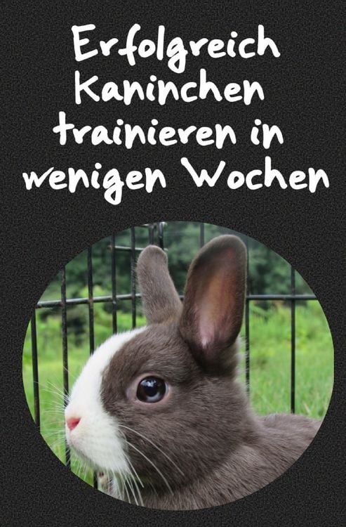 Produktbild: Erfolgreich Kaninchen trainieren in wenigen Wochen