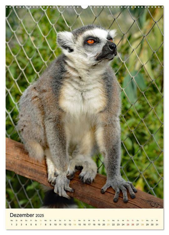 Oliy maktab DxD porno rasmlar