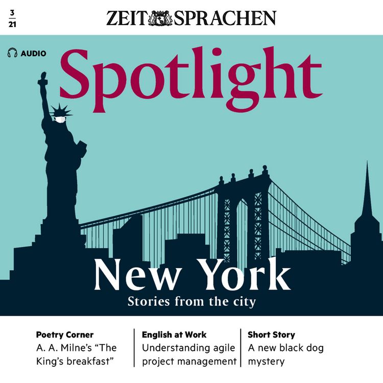 Produktbild: Englisch lernen Audio - Geschichten aus New York