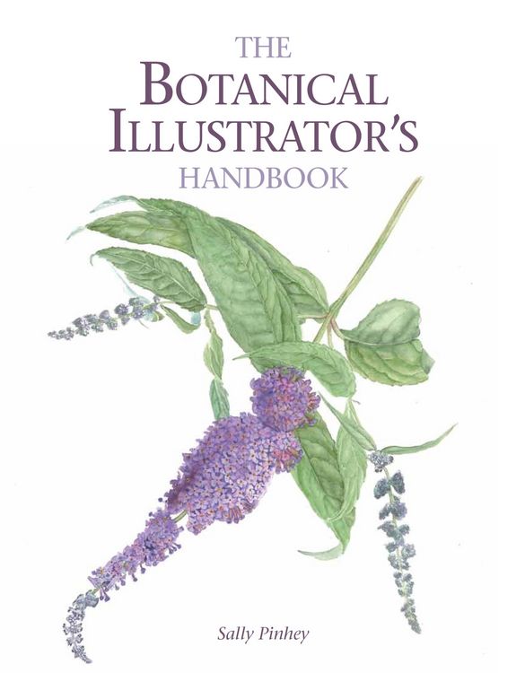 Produktbild: Botanical Illustrator's Handbook