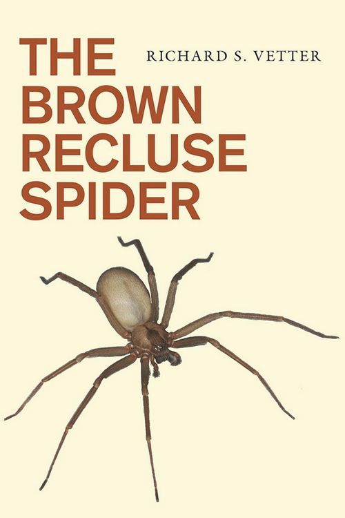 Produktbild: The Brown Recluse Spider