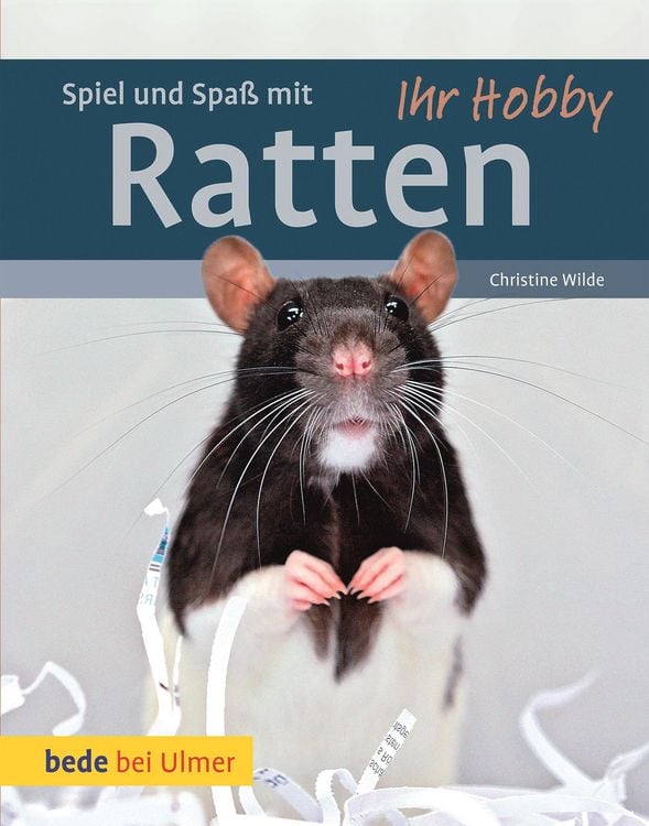 Bild vom Artikel Spiel und Spaß mit Ratten vom Autor Christine Wilde