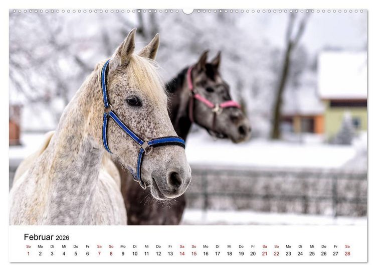 Produktbild: Masuren 2026 - Land der 1000 Seen (hochwertiger Premium Wandkalender 2026 DIN A2 quer), Kunstdruck in Hochglanz