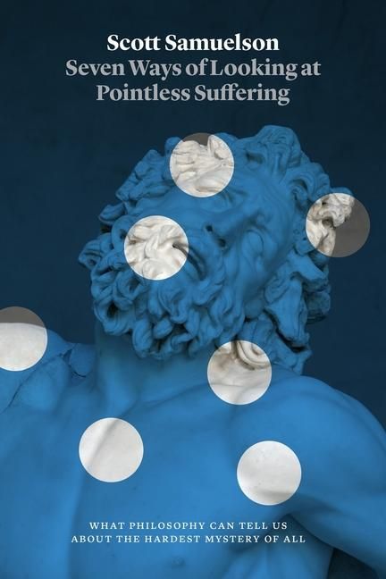 Produktbild: Seven Ways of Looking at Pointless Suffering