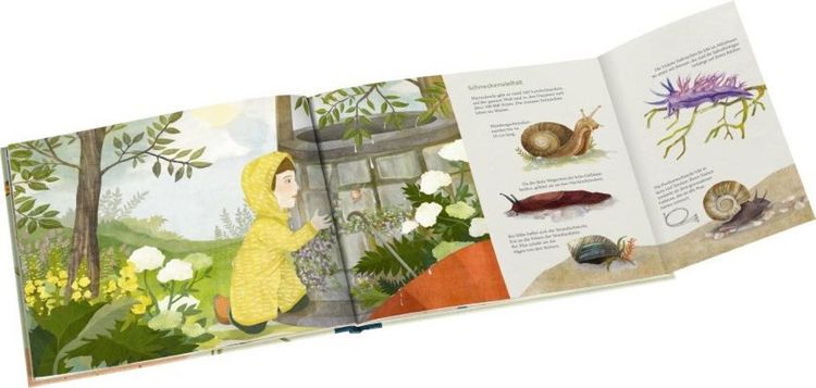 Produktbild: Schau mal, eine Schnecke!