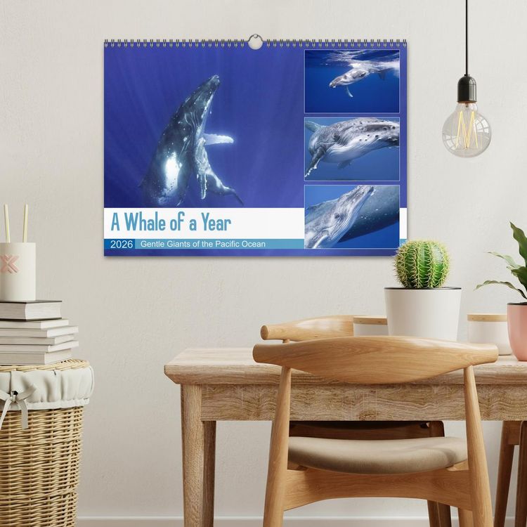 Produktbild: A Whale of a Year (Wall Calendar 2026 DIN A3 landscape), CALVENDO 12 Month Wall Calendar