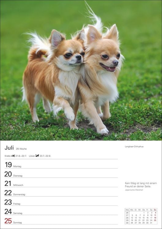 Produktbild: Hunde Wochenplaner 2027 - 53 faszinierende Fotografien