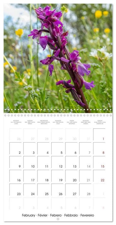 Produktbild: Harmonie Florale Des Pr&eacute;s aux Villes (Calendrier mural carr&eacute; 2026 30x30 cm) Calendrier double avec une page pour vos prises de notes