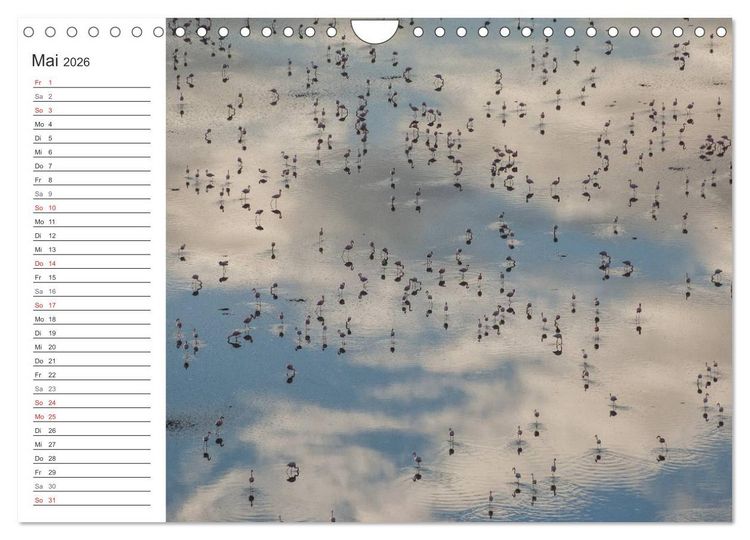 Produktbild: Emotionale Momente: Mein wildes Afrika (Wandkalender 2026 DIN A4 quer), CALVENDO Monatskalender