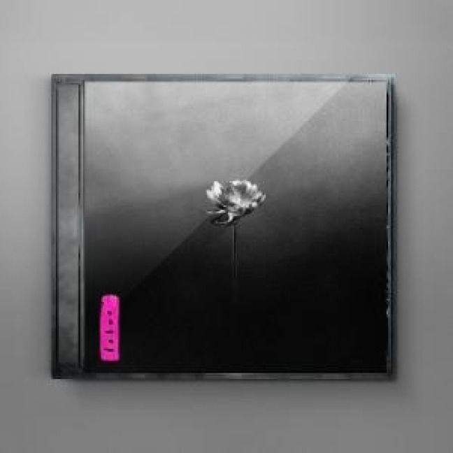 Produktbild: Lotus