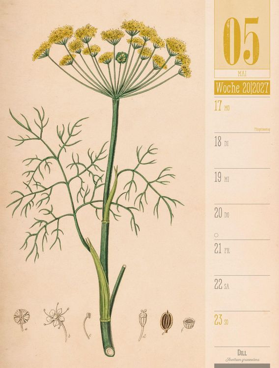 Produktbild: Culinarium Wochenplaner Kalender 2027 | K&uuml;che, Kr&auml;uter, Kurioses