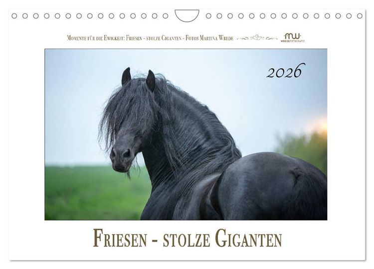 Produktbild: Friesen - stolze Giganten (Wandkalender 2026 DIN A4 quer), CALVENDO Monatskalender
