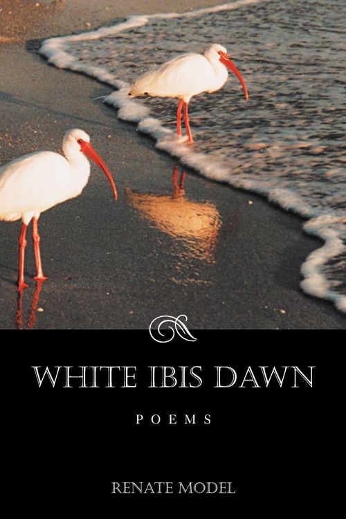 Produktbild: White Ibis Dawn