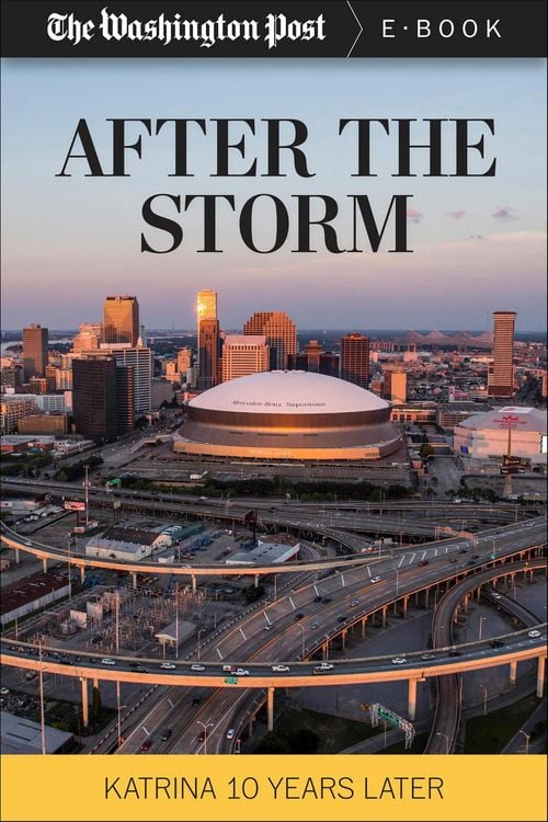 Produktbild: After the Storm