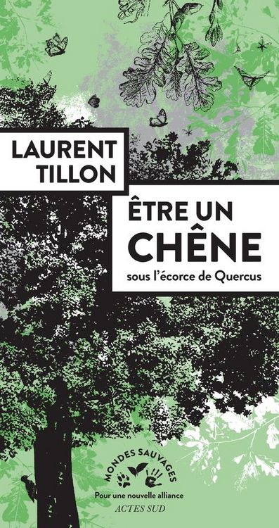 Produktbild: Etre un ch&ecirc;ne : sous l'&eacute;corce de Quercus