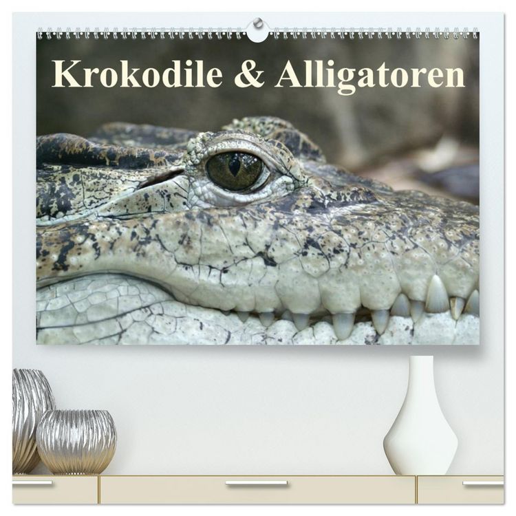 Produktbild: Krokodile & Alligatoren (hochwertiger Premium Wandkalender 2026 DIN A2 quer), Kunstdruck in Hochglanz