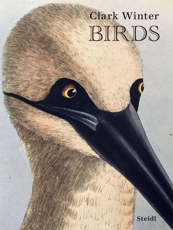 Produktbild: Birds