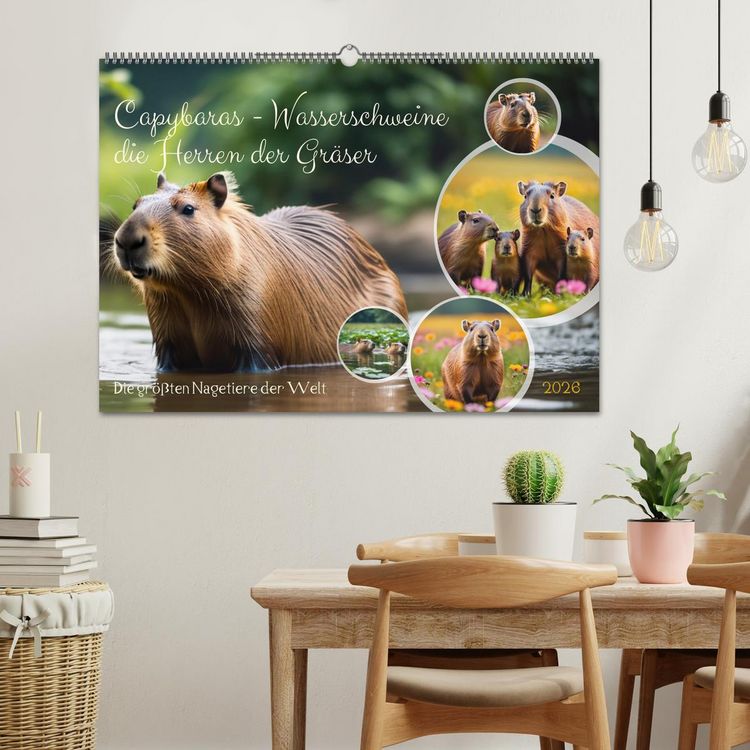 Produktbild: Capybaras - Wasserschweine die Herren der Gr&auml;ser (Wandkalender 2026 DIN A2 quer), CALVENDO Monatskalender